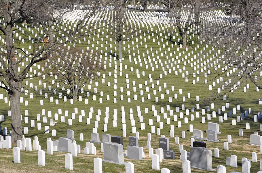cementery with trees, Arlington, Cemetery, Usa, Washington Dc