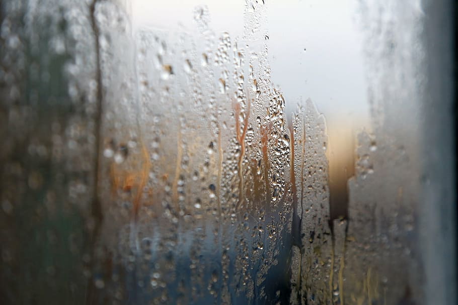 close-up photo of glass panel with dewdrop, clear, water, still HD wallpaper