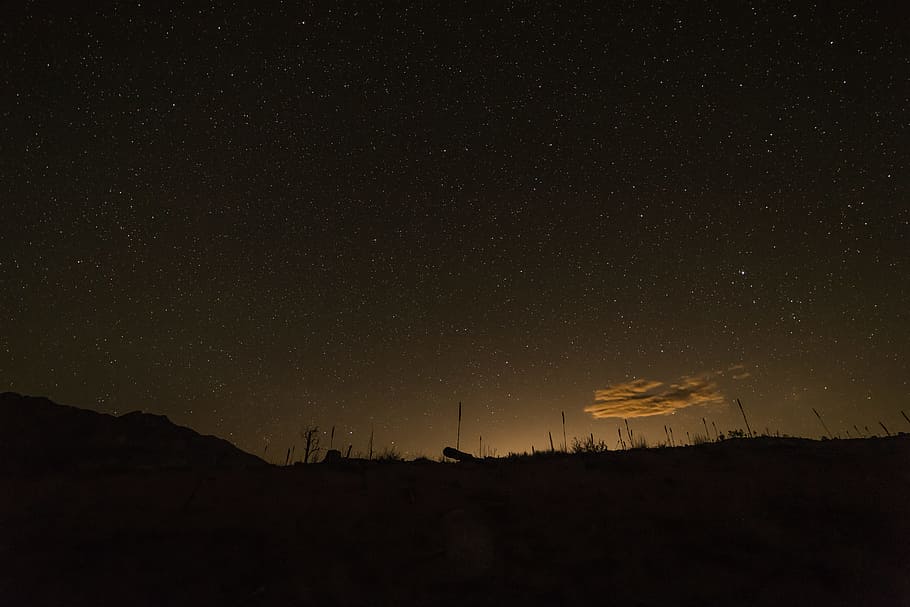 Silhouettes of tall grasses against a starry sky, silhouette of mountain during night time HD wallpaper