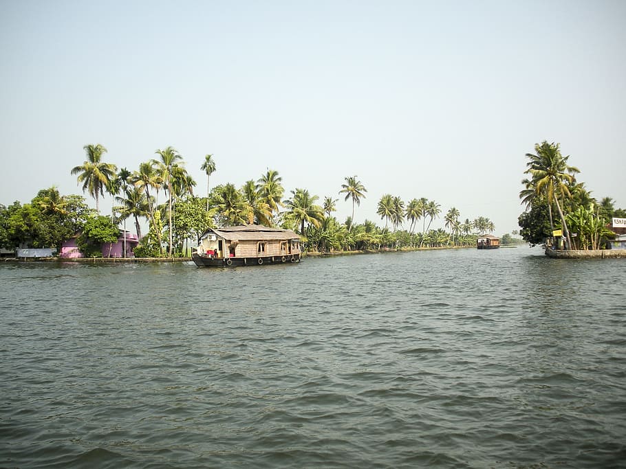 rice boat, backwaters, kerala, india, tree, plant, waterfront