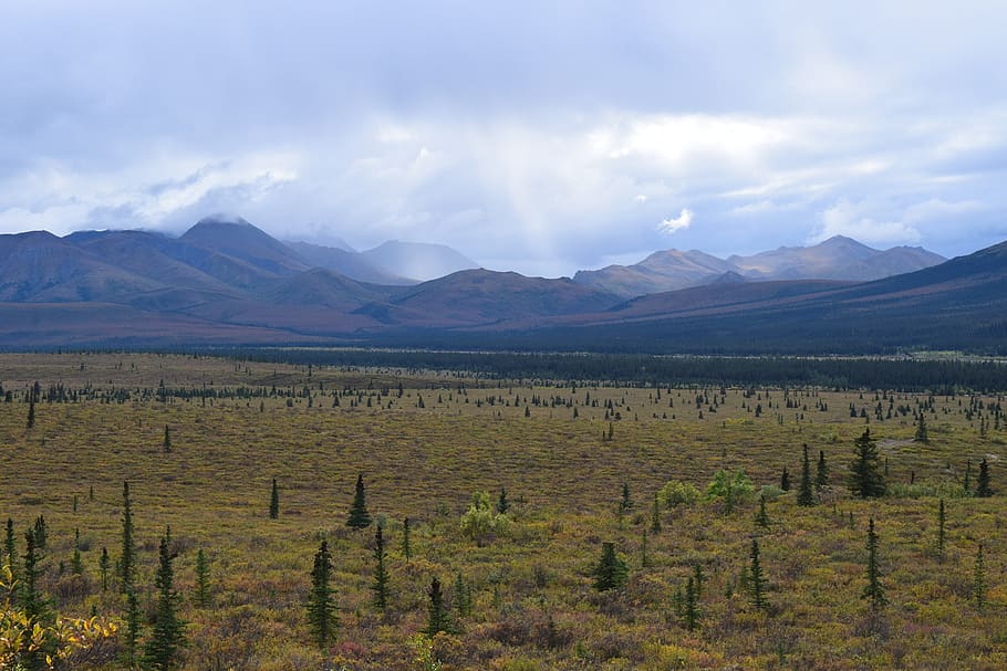 denali national park, alaska, teklanika, river, valley, tundra, HD wallpaper