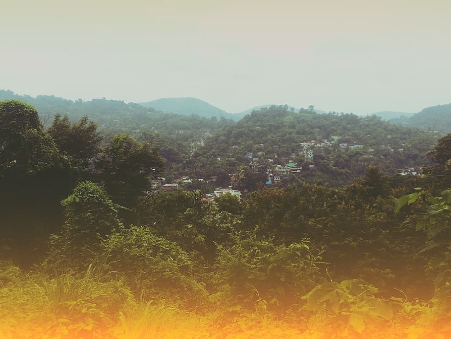 Green Coated Hill With Houses, backlit, clouds, dawn, daylight HD wallpaper