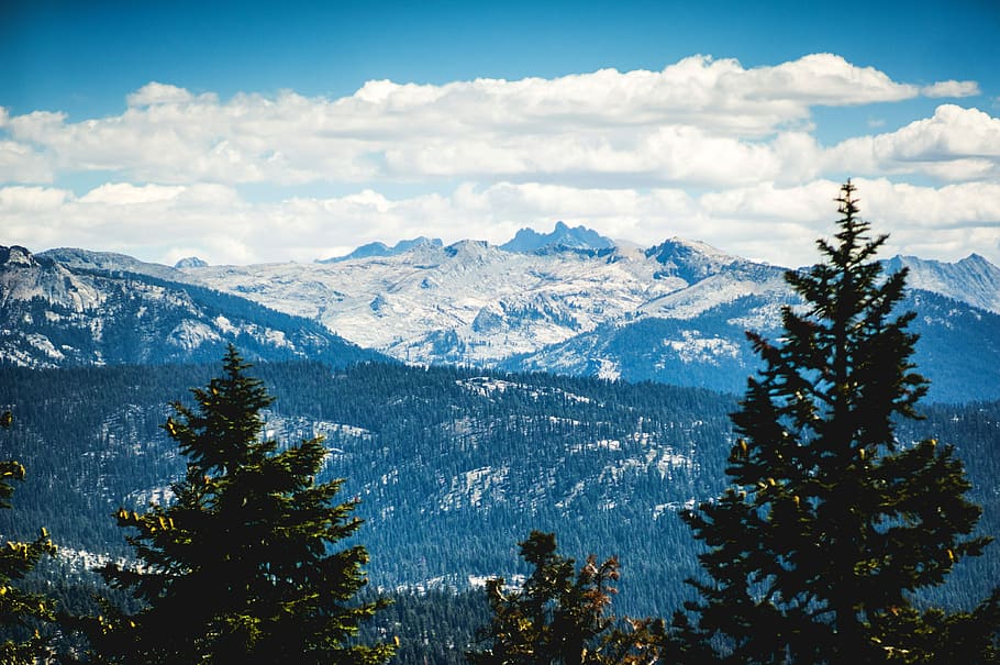 Beautiful Mountain and Forest Landscape in Sequoia National Park, California