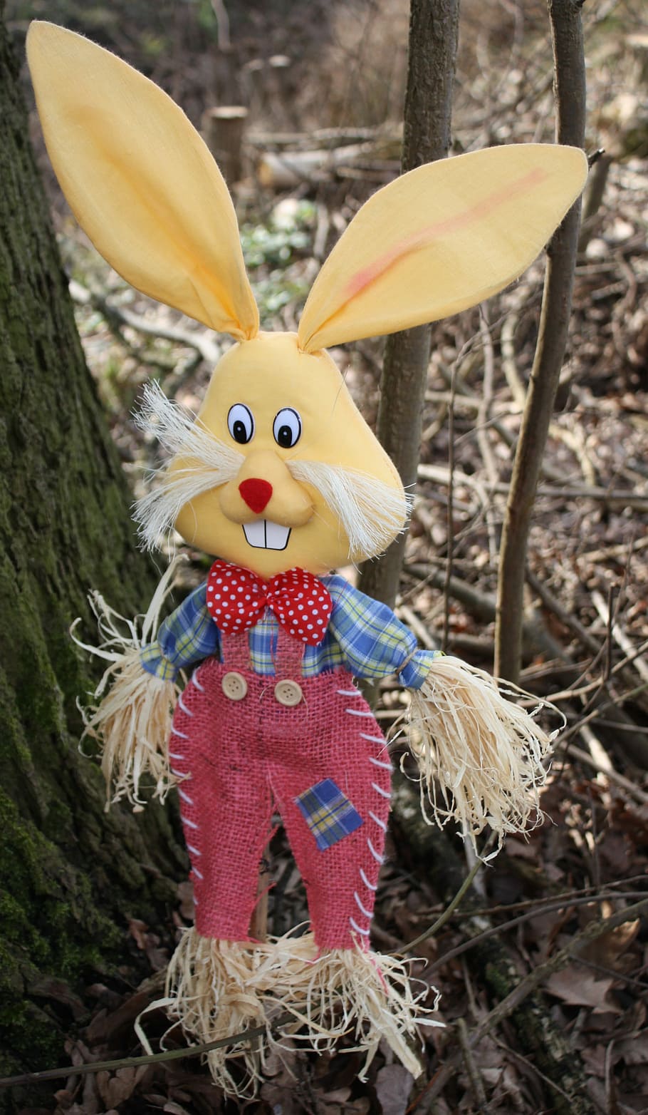 Easter Bunny, Deco, Figure, holiday, greeting card, funny, cute HD wallpaper