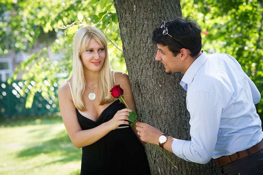 man wearing long-sleeved shirt giving woman red rose flower, Love, Romance