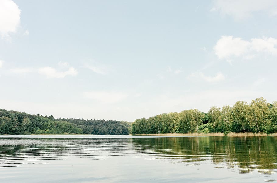 Lake and forest, landscape, nature, tree, water, outdoors, river HD wallpaper