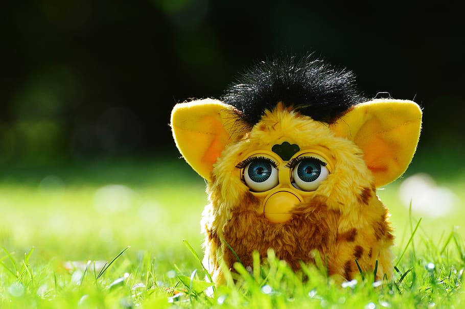 Are Furbies planning on taking over the world ChatGPT says yes  The  Jerusalem Post