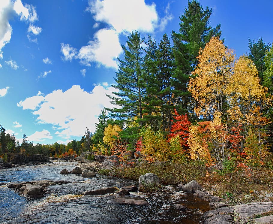 Autumn, Fall, Fall, Colors, Colours, Canada, orange, nature, HD wallpaper