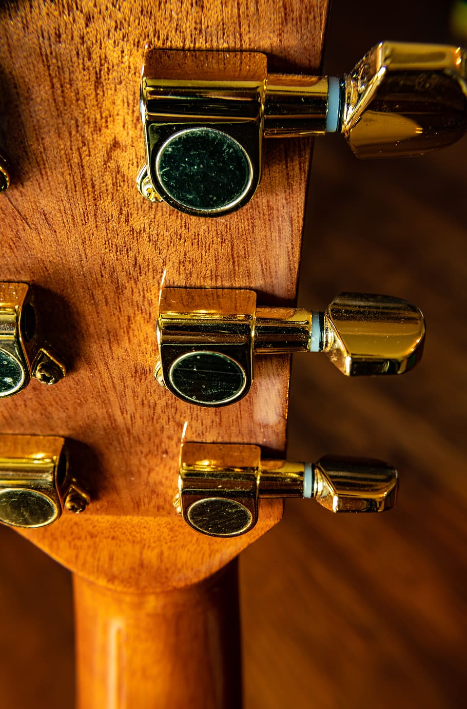 guitar, tuning pegs, instrument, back-side, close-up, neck, HD wallpaper