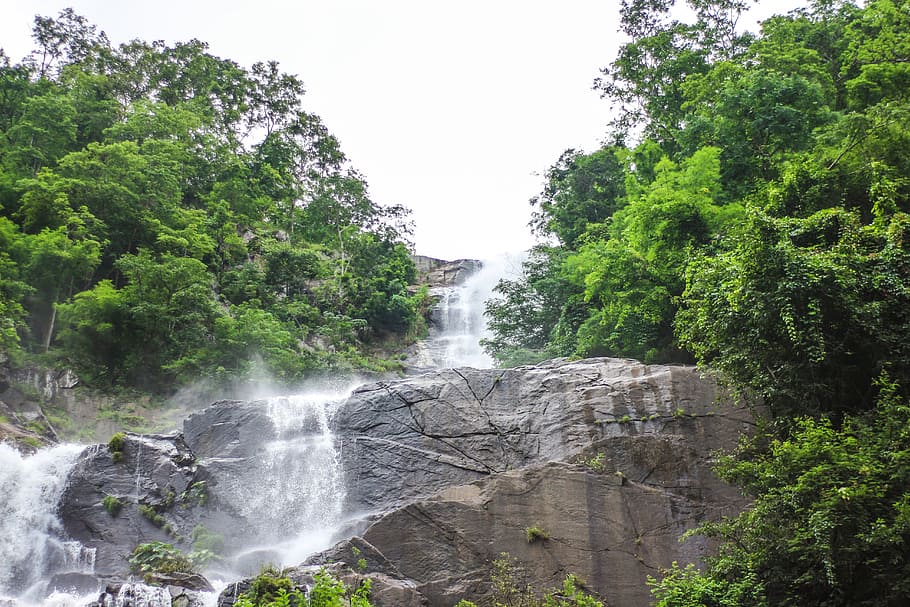 waterfall, mountain, tree, plant, scenics - nature, beauty in nature HD wallpaper