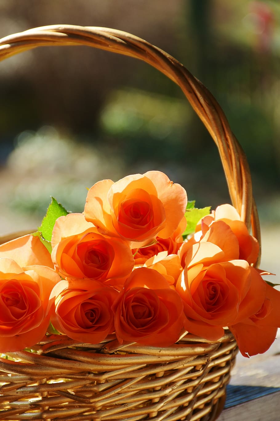 close up photo of basket of orange roses, blossom, bloom, flowers HD wallpaper