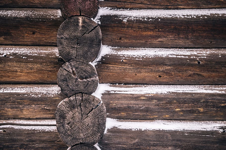 brown wooden tree log, tree log stack, close up, photo, logs HD wallpaper