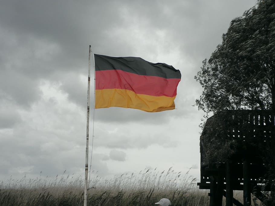 germany, flag, black red gold, wind, nationality, flutter, blow HD wallpaper