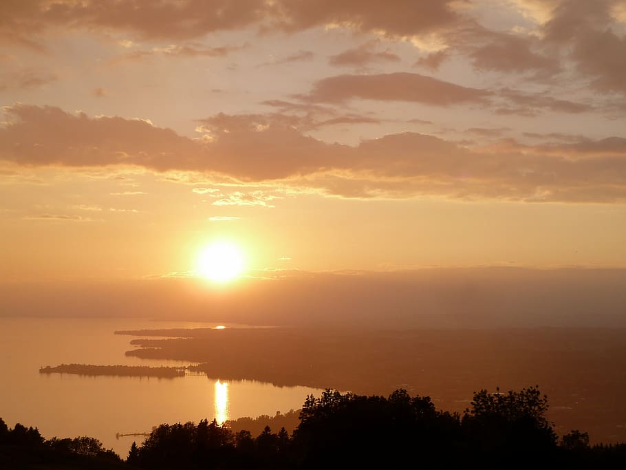 silhouette photo of trees near body of water, yellow, orange HD wallpaper