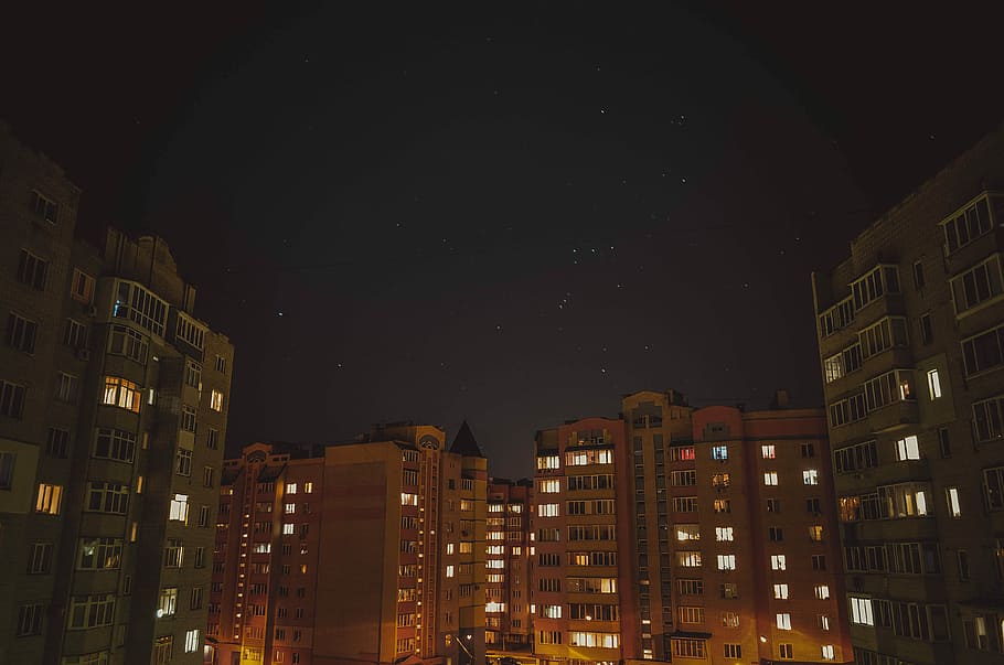 buildings under starry night sky, high rise photo of buildings during nighttime HD wallpaper