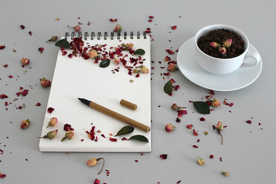 spring notebook beside teacup with saucer, food, background HD wallpaper