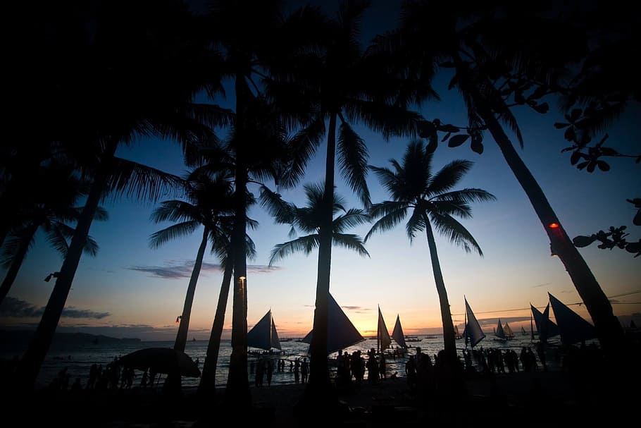 boracay, beach, philippines, paradise, blue, coast, tourism HD wallpaper