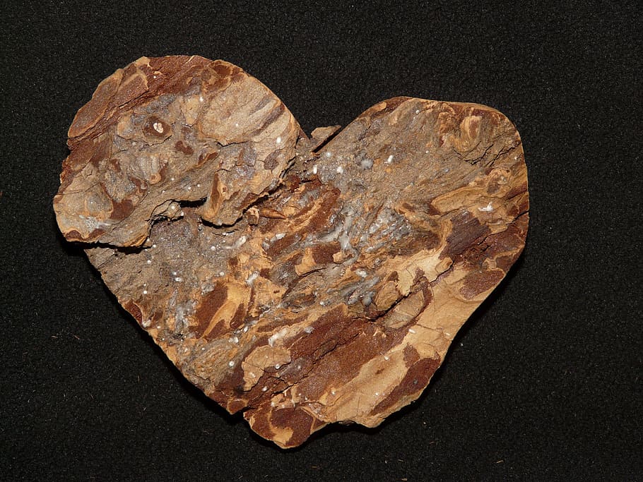 Bark, Tree, Heart, Love, Romance, Wood, natural material, edit HD wallpaper
