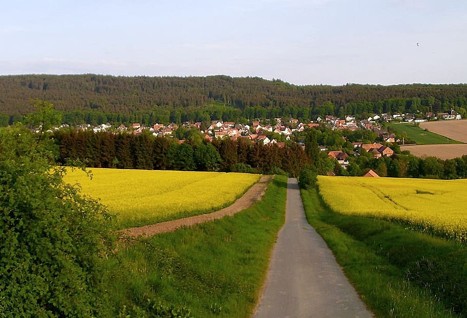 Springe, Germany, Landscape, Scenic, mountains, forest, trees HD wallpaper
