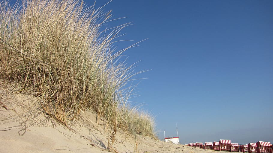 Dune, Beach, Baltic Sea, Summer, background, sand, reed, beach chair HD wallpaper