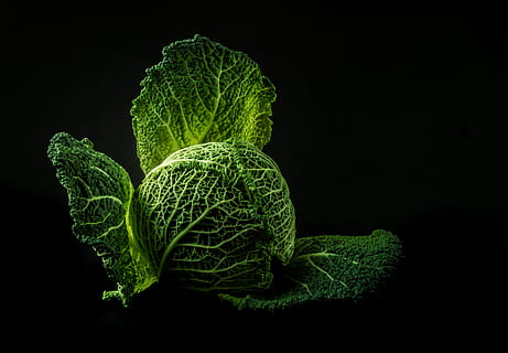 green cabbage with black background, vegetables, forget, old HD wallpaper