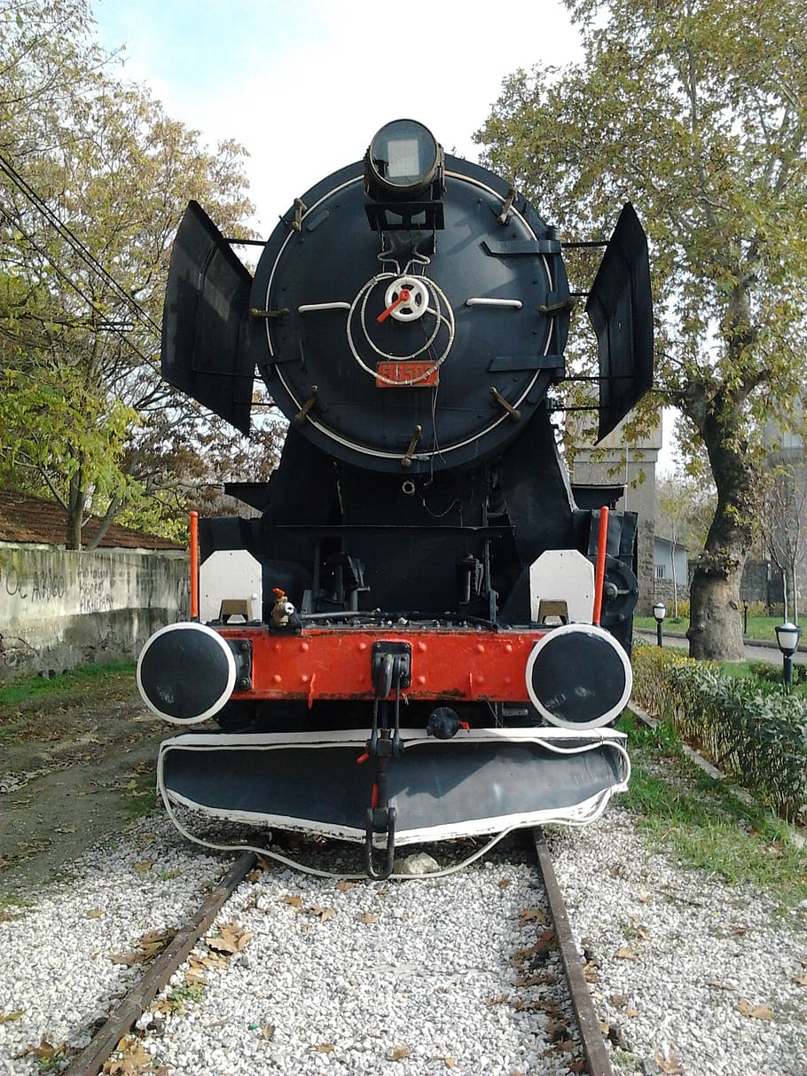 date, steam, train, mode of transportation, plant, tree, day HD wallpaper