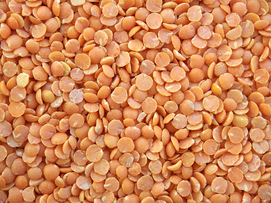 orange seeds, lentils, red, split, dried, legume, vegetarian HD wallpaper