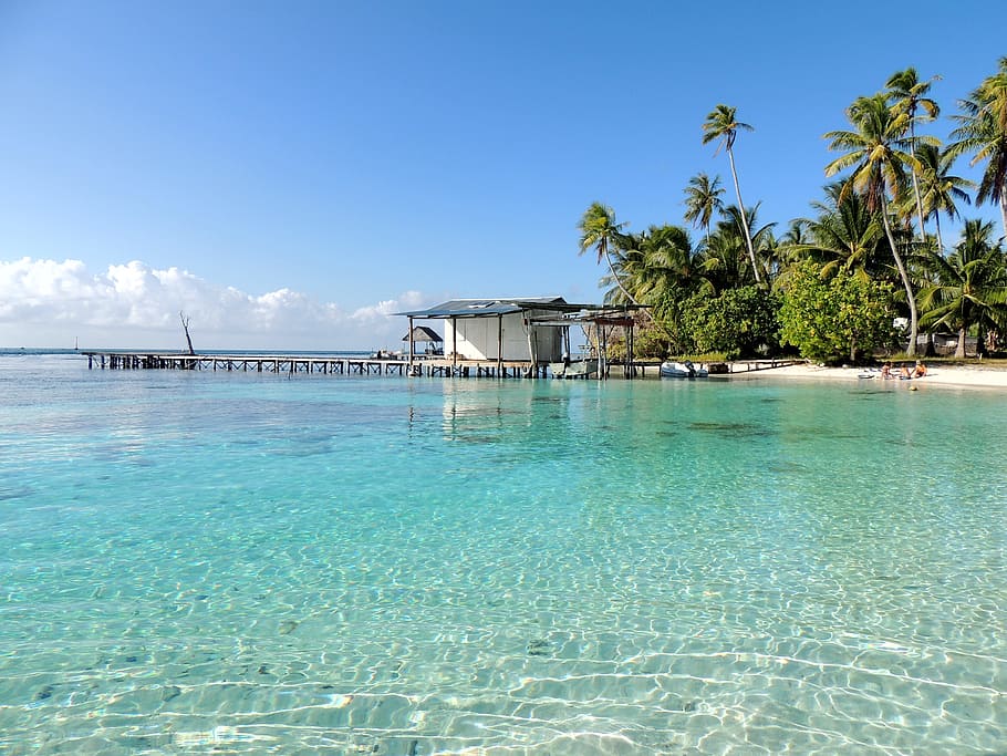 polynesia, water, turquoise, sky, palm tree, tropical climate HD wallpaper