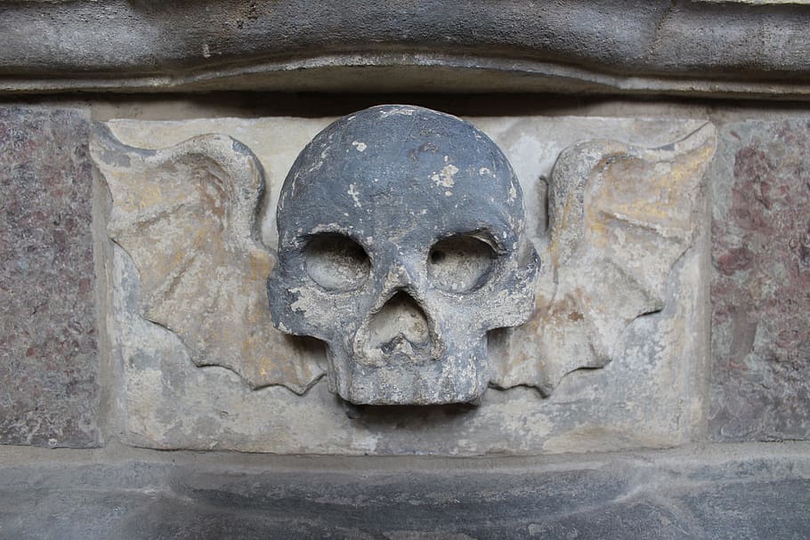 close-up of black skull, Wings, Winged, Biker, Dead, emblem HD wallpaper