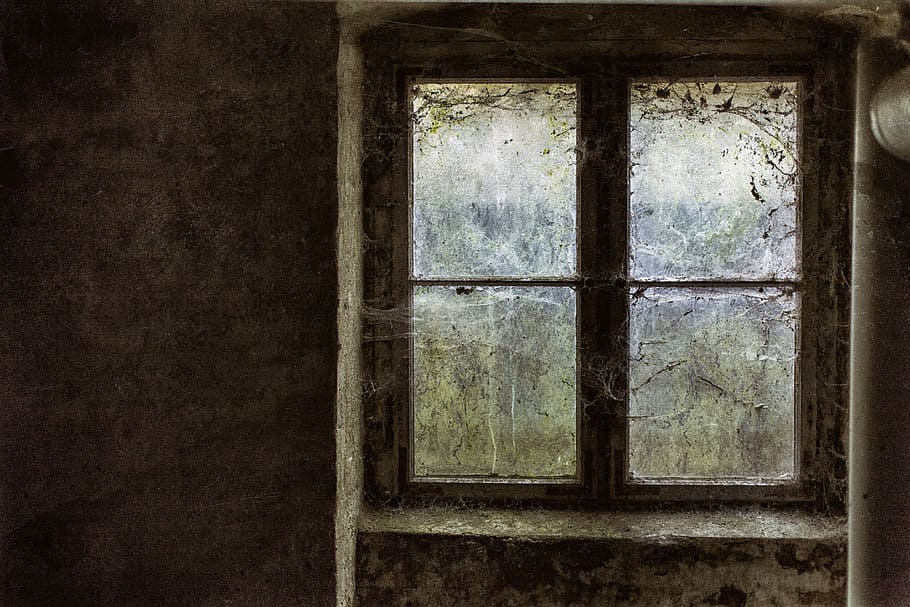 glass window pane, brown wooden windowpane closed, cobweb, lost place HD wallpaper