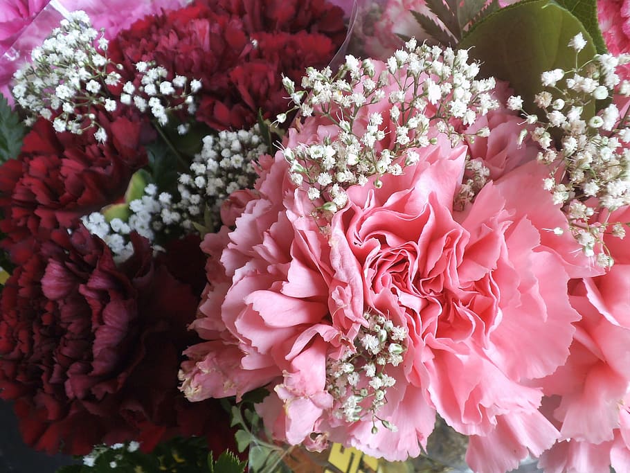 Flower, Rose, Pink, Pink, Blossom, Bloom, bouquet, love, floral HD wallpaper