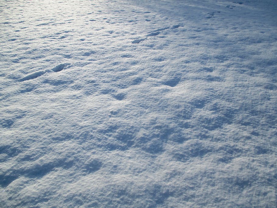 winter, snow, sparkle, white, backlighting, sunshine, full frame HD wallpaper