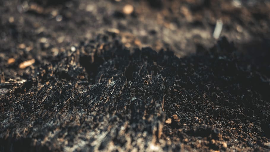 close-up photo of soil, black soil, texture, mud, dirt, bark HD wallpaper