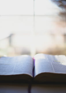 opened book, photo of opened book on beige surface, bible study HD wallpaper