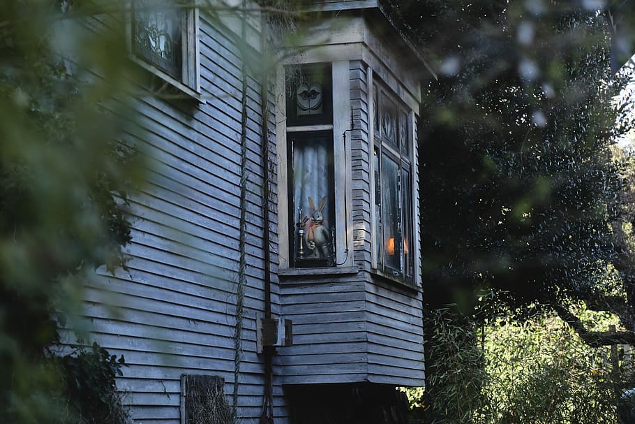 shallow focus photography of wooden house beside trees, white wooden house and glass window with bunny plush toy at daytime