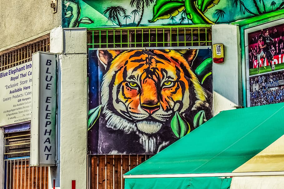 street, wall, shop, graffiti, tiger, city, urban, colors, lemessos, HD wallpaper