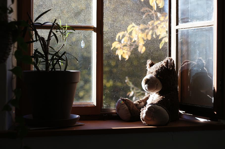 brown bear plush toy on brown wooden window frame with glass windows HD wallpaper