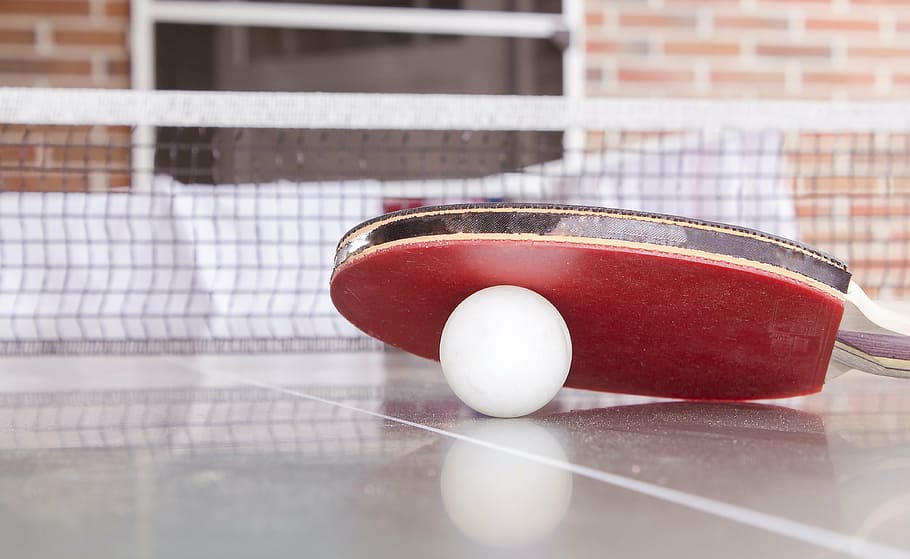 red and brown ping pong racket and white ball on table, table tennis, HD wallpaper