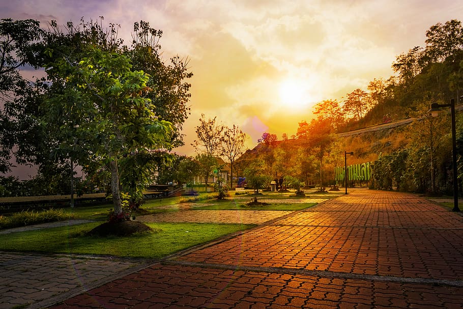 landscape, sunset, trees, nature, sky, sunlight, outdoor, natural HD wallpaper