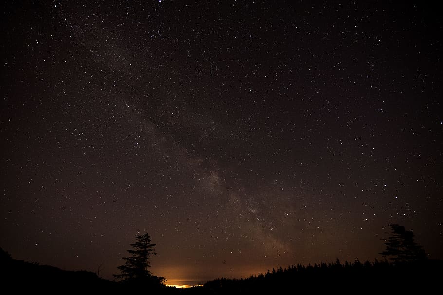 photo of milky way, night, sky, stars, tree, silhouette, star - Space HD wallpaper