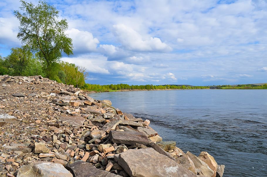 Beach, River, Trees, Forest, Sky, landscape, summer, clouds HD wallpaper