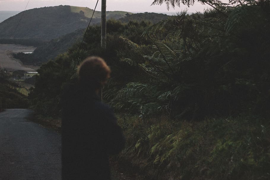person standing on asphalt road in front of tree, person on road beside trees HD wallpaper