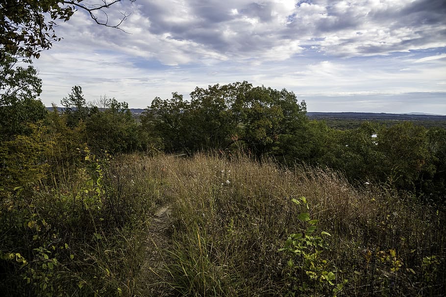 Grasses and trees under the sky and clouds at Ferry Bluff, Wisconsin HD wallpaper