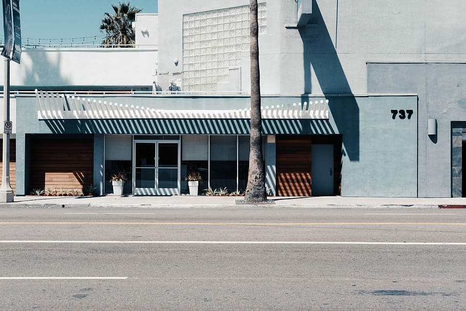 palm tree in front of grey building at daytime, architecture HD wallpaper