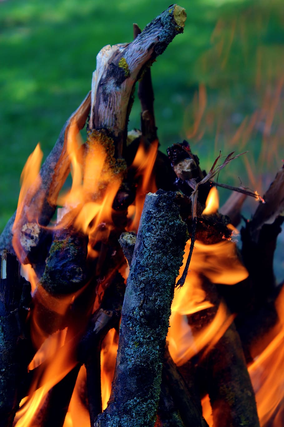 fire, flama, wood, barbecue, burn, burning, coals, nature, red HD wallpaper