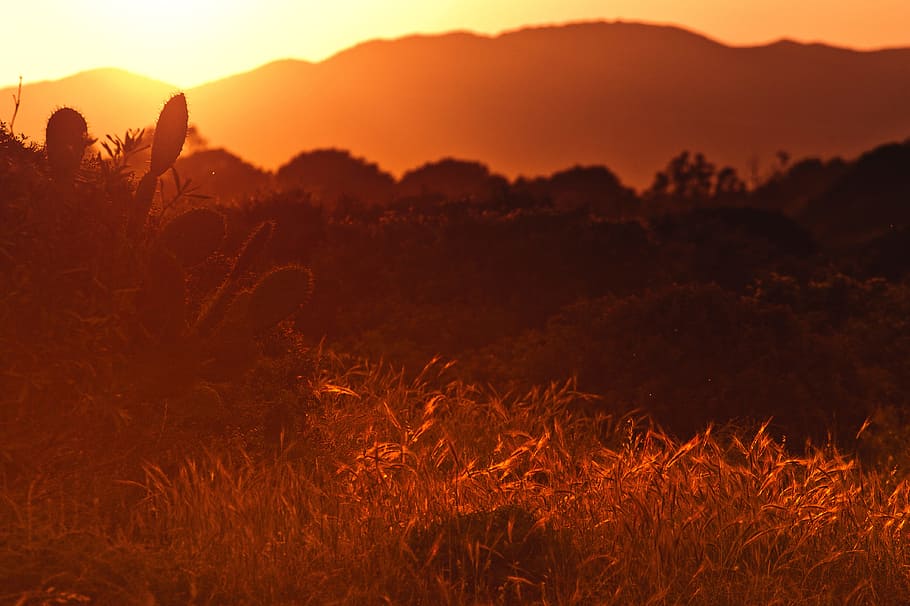 sunset-nature-red-dusk.jpg