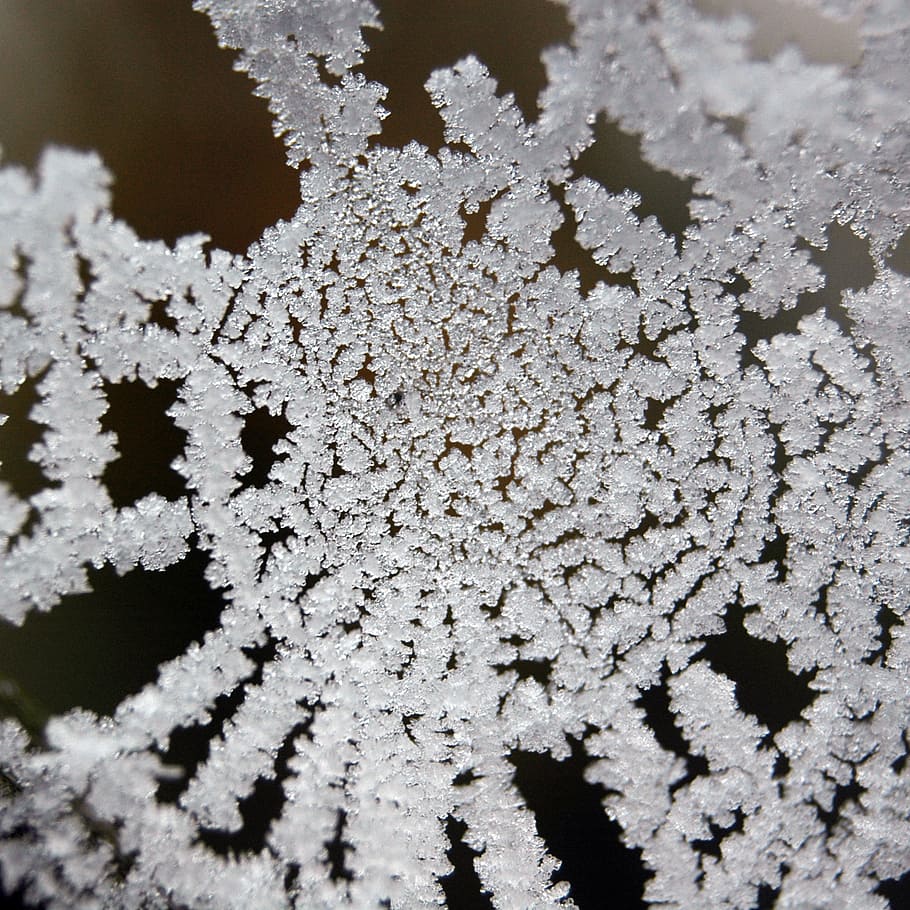 frost, ice crystal, winter, frozen, snow, hoarfrost, crystals