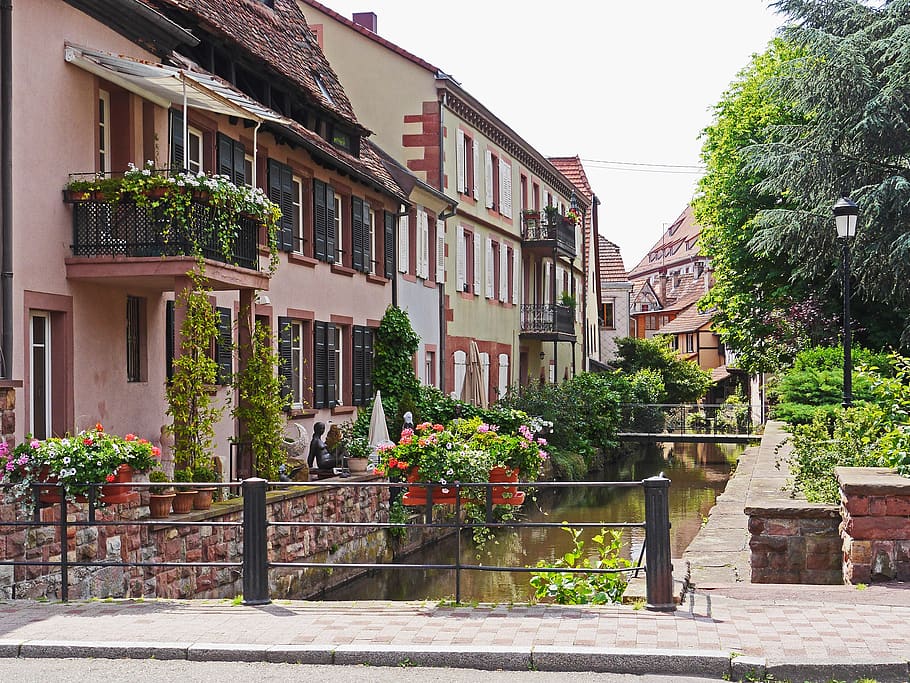 wissembourg, alsace, france, architecture, house, building, HD wallpaper