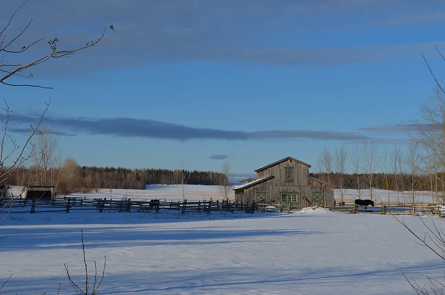 Cabin, Barn, Winter, Winter, Landscape, winter landscape, snow HD wallpaper