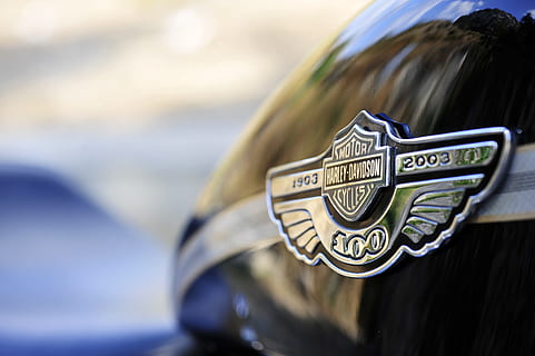 Harley-Davidson logo, biker, harley davidson, 1200, custom HD wallpaper